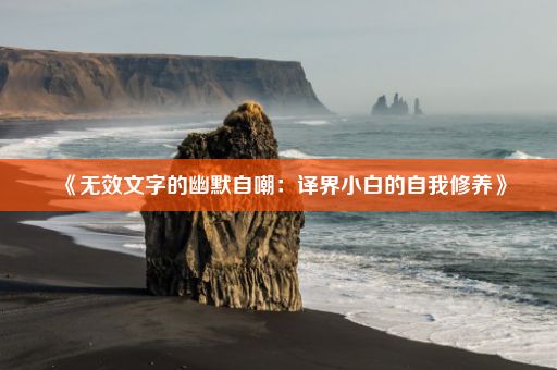 《无效文字的幽默自嘲：译界小白的自我修养》