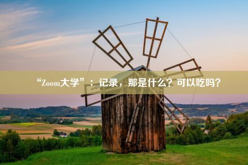 “Zoom大学”：记录，那是什么？可以吃吗？