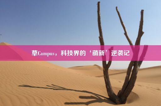 草Campus，科技界的‘萌新’逆袭记