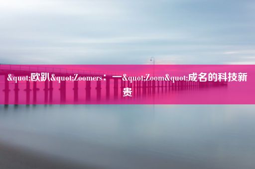 "欧趴"Zoomers：一"Zoom"成名的科技新贵