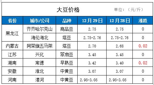 豆破天网，笑傲江湖：免费V，破纪录的科技狂潮