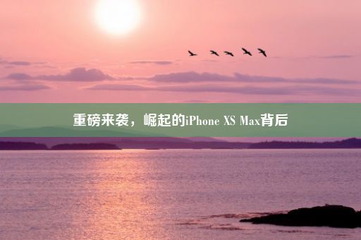 重磅来袭，崛起的iPhone XS Max背后