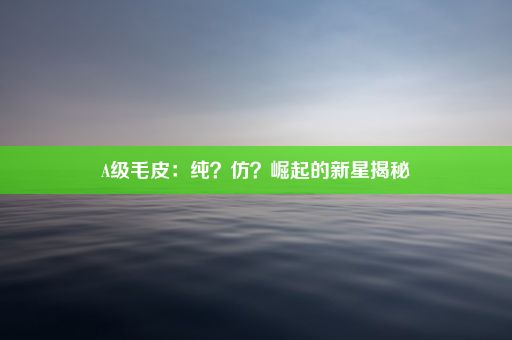 A级毛皮：纯？仿？崛起的新星揭秘