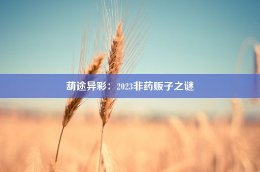 葫途异彩：2023非药贩子之谜