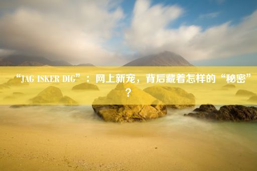 “JAG ISKER DIG”：网上新宠，背后藏着怎样的“秘密”？