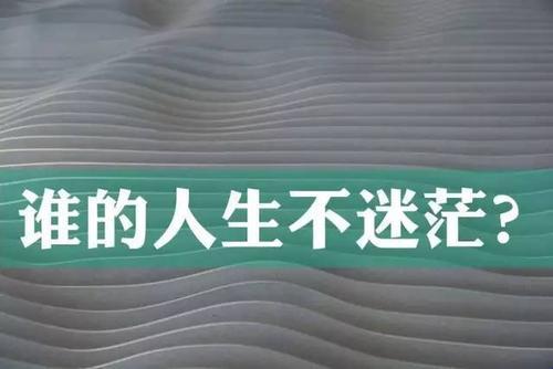 科技界的‘慢摇舞’：迎合新趋势，网友热炒何方神韵？