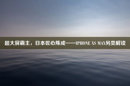 超大屏霸主，日本匠心炼成——IPHONE XS MAX另类解读