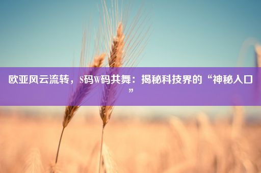 欧亚风云流转，S码W码共舞：揭秘科技界的“神秘入口”