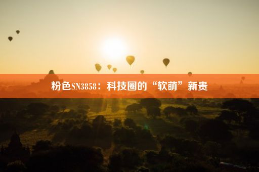 粉色SN3858：科技圈的“软萌”新贵