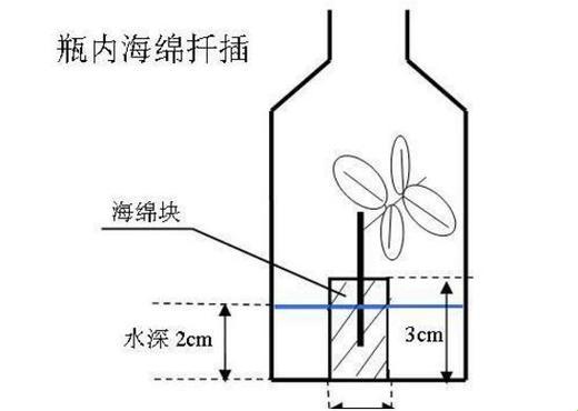 欧式插花72变：笑谈注意事项，热情如火如荼