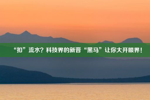 “扣”流水？科技界的新晋“黑马”让你大开眼界！