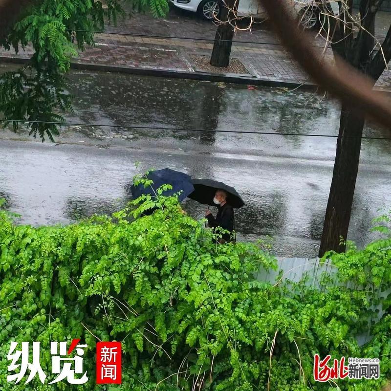 “边走边瞧，科技雨中曲：一场意外的‘洗浴’之旅”