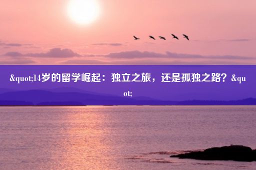 "14岁的留学崛起：独立之旅，还是孤独之路？"