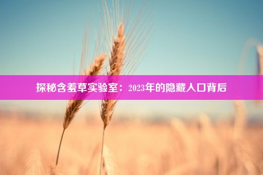 探秘含羞草实验室：2023年的隐藏入口背后