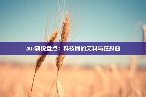 2018新锐盘点：科技圈的笑料与狂想曲