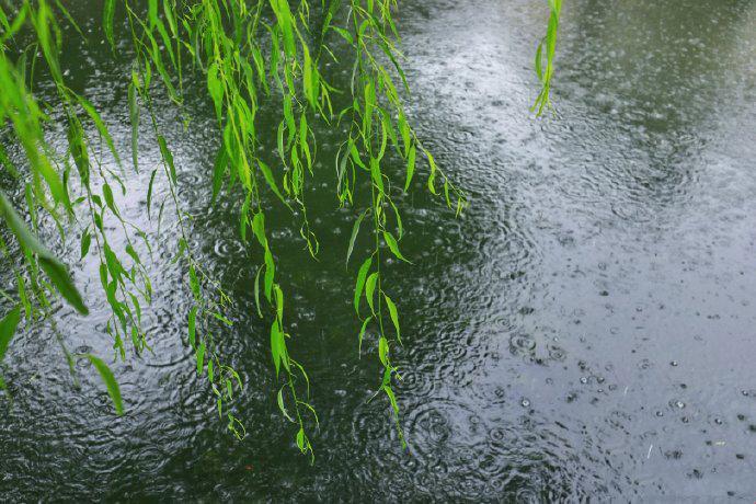 “ 细雨蒙蒙，热议浪潮中的科技笑话 ”