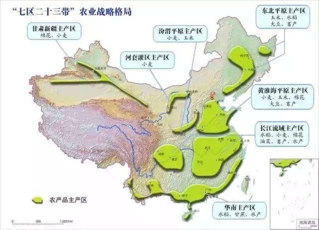 《日本科技疆域：一线花魁，二线风尘》