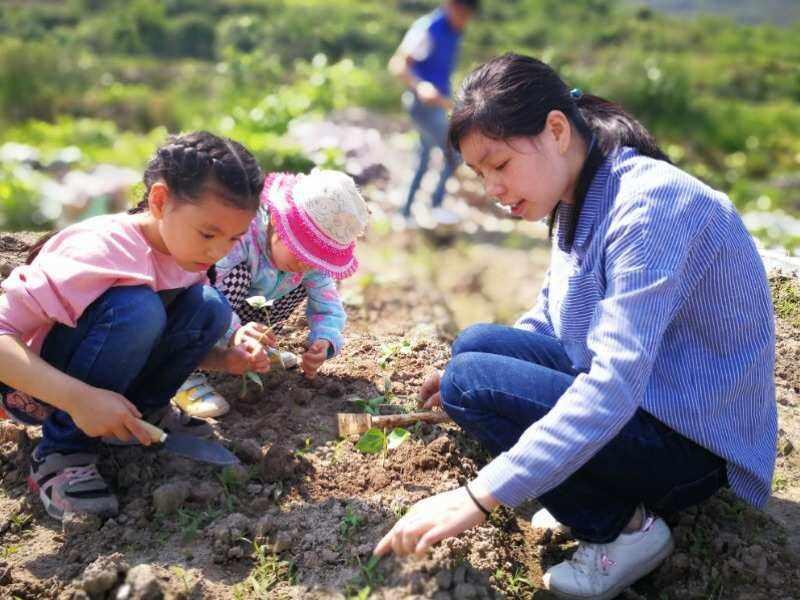 种泥土能炸圈？科技圈新话题：孝子耕耘母土的笑谈