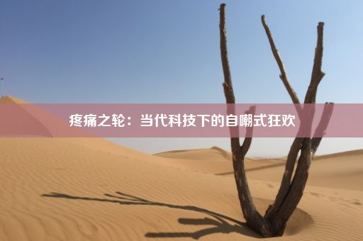 疼痛之轮：当代科技下的自嘲式狂欢