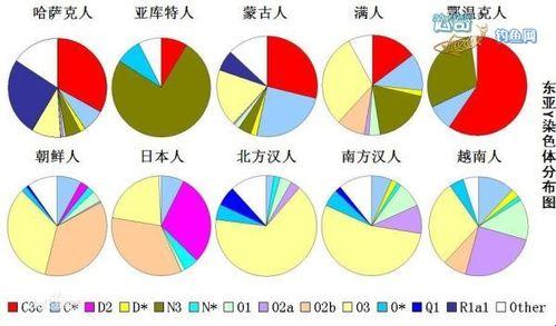 “染色体差异，亚洲欧罗巴，谁比谁惊喜？”