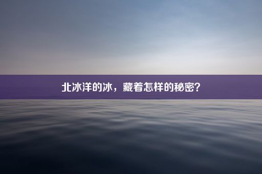 北冰洋的冰，藏着怎样的秘密？