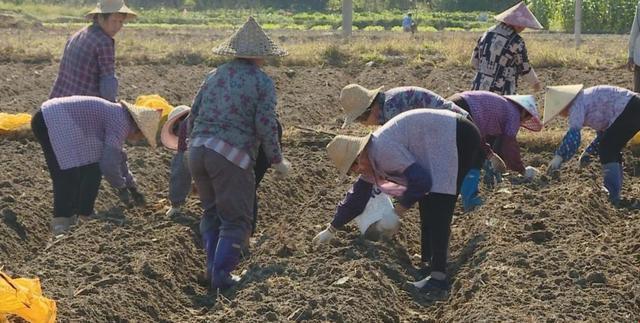 肥田沃土，创新狂潮来袭！