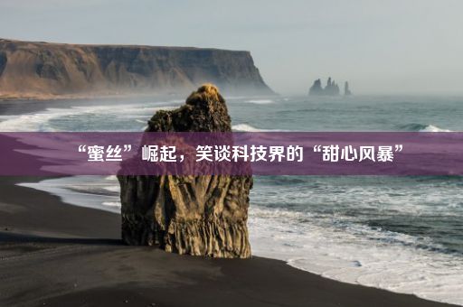 “蜜丝”崛起，笑谈科技界的“甜心风暴”