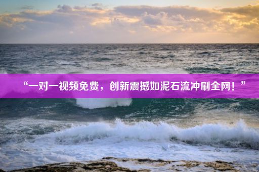 “一对一视频免费，创新震撼如泥石流冲刷全网！”