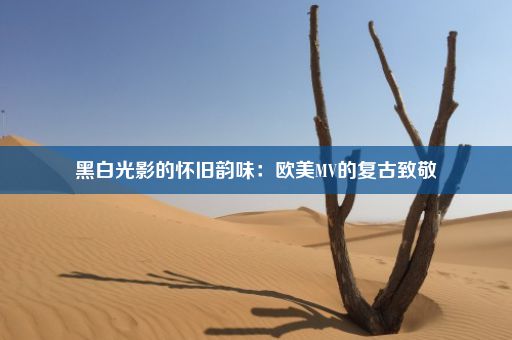 黑白光影的怀旧韵味：欧美MV的复古致敬