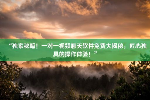 “独家秘籍！一对一视频聊天软件免费大揭秘，匠心独具的操作体验！”