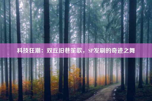 科技狂潮：双丘旧巷笙歌，SP发刷的奇迹之舞