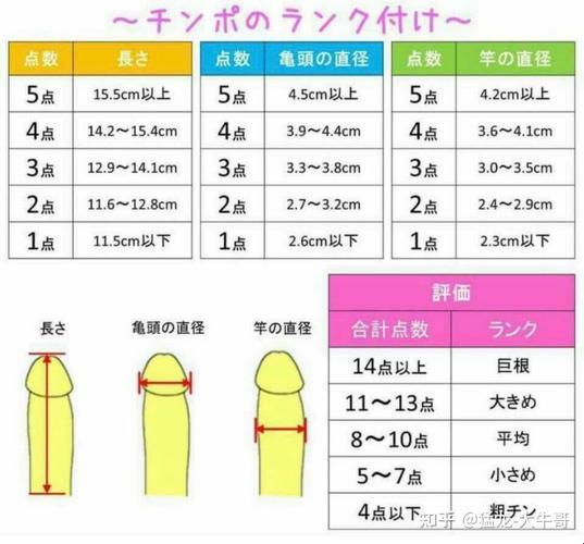 “硬度赛高，尺寸惊天地！——科技界的‘特长’引发的狂欢”