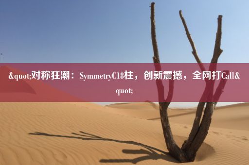 "对称狂潮：SymmetryC18柱，创新震撼，全网打Call"