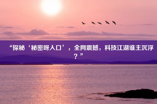 “探秘‘秘密呀入口’，全网震撼，科技江湖谁主沉浮？”