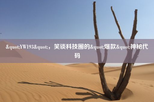 "YW193"，笑谈科技圈的"爆款"神秘代码