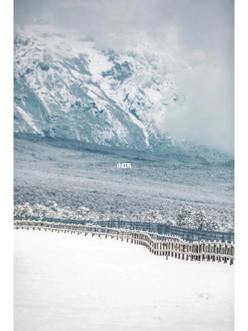 雪峰“头顶”的新潮流：探索科技领域的非同“雪”意