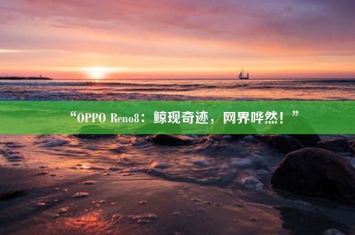 “OPPO Reno8：鲸现奇迹，网界哗然！”