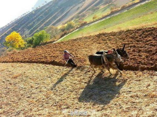 "耕娘沃土，潮流尖端儿戏"