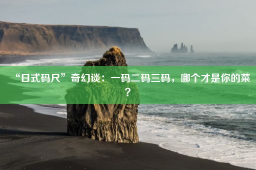 “日式码尺”奇幻谈：一码二码三码，哪个才是你的菜？