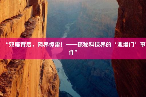 “双扉背后，网界惊雷！——探秘科技界的‘泄爆门’事件”