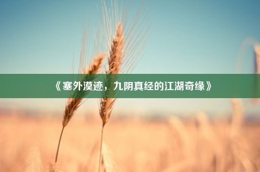 《塞外漠迹，九阴真经的江湖奇缘》