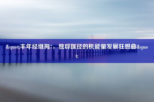 "丰年经继拇7，独辟蹊径的机能量发展狂想曲"