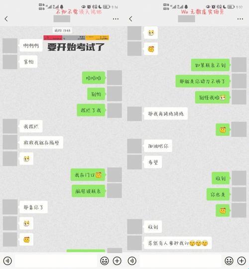 “逗”立男友：科技时代的另类情感攻略