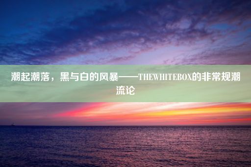 潮起潮落，黑与白的风暴——THEWHITEBOX的非常规潮流论