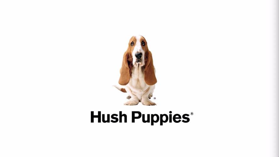 hushpuppies狗：一场人狗情未了的故事