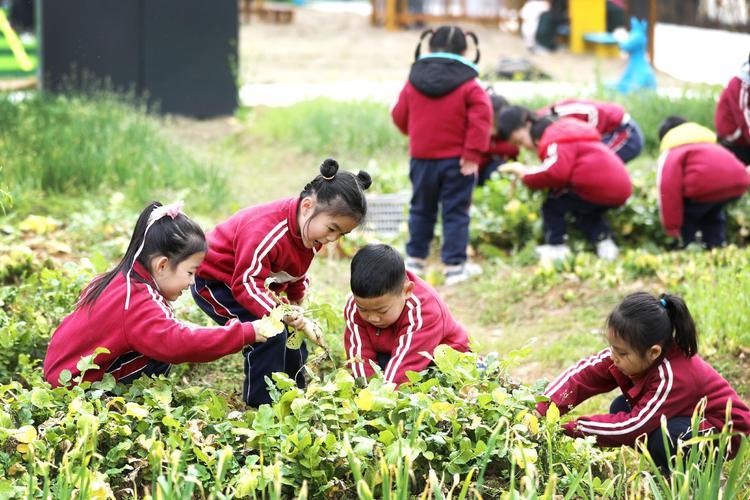 《拔萝卜传奇：科技江湖的诡谲风暴》