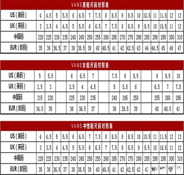 崛起的新星：欧码VS中码，笑谈一二三