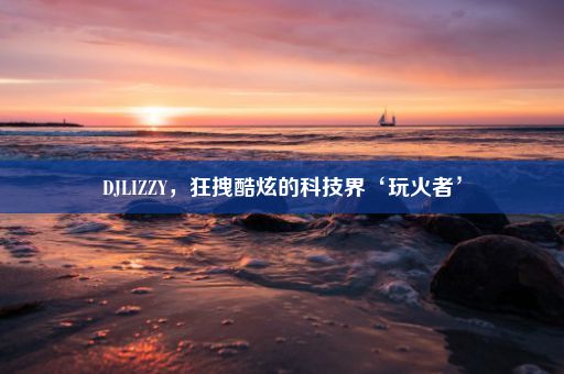 DJLIZZY，狂拽酷炫的科技界‘玩火者’