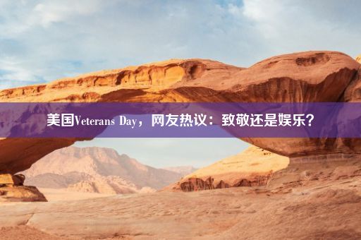 美国Veterans Day，网友热议：致敬还是娱乐？