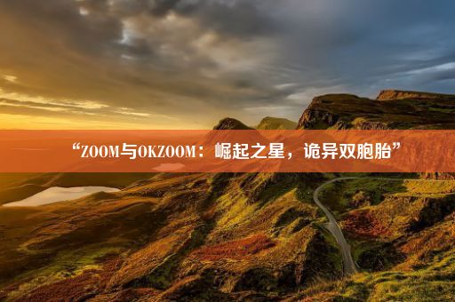 “ZOOM与OKZOOM：崛起之星，诡异双胞胎”